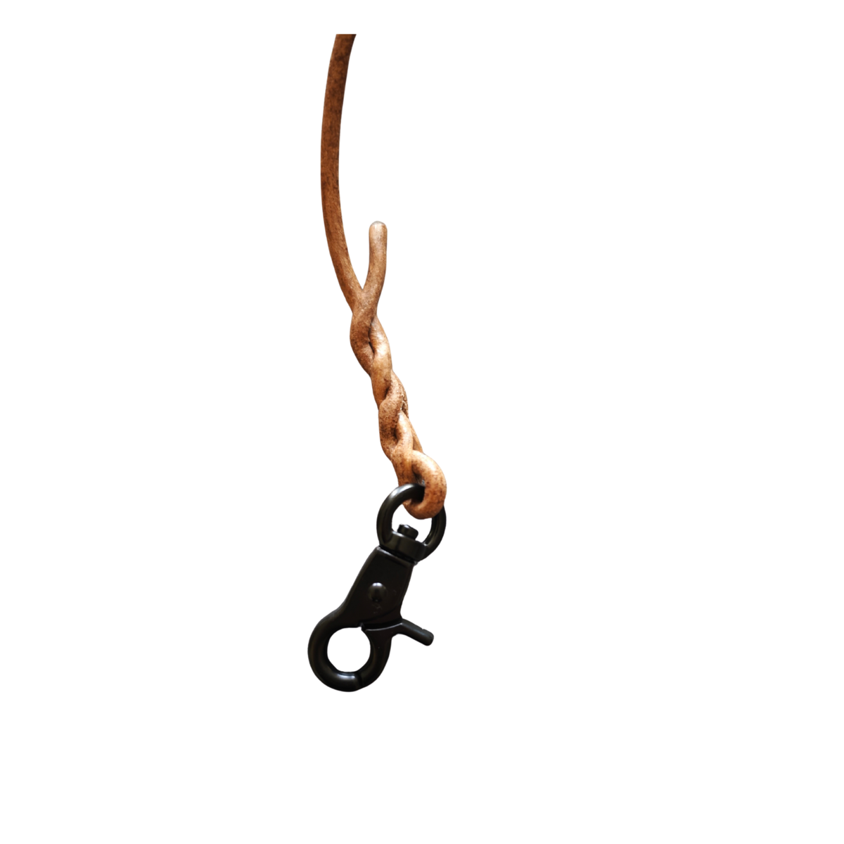 Longe de Pistage en cuir 10m Petit Chien