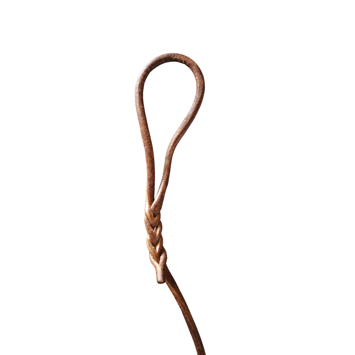 Longe de Pistage 10m en cuir pour Grand chien